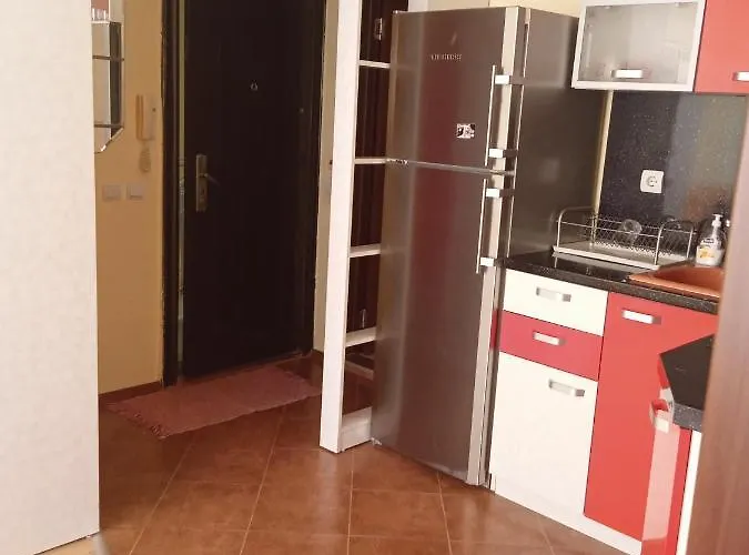 8 8 * 프리모르스코